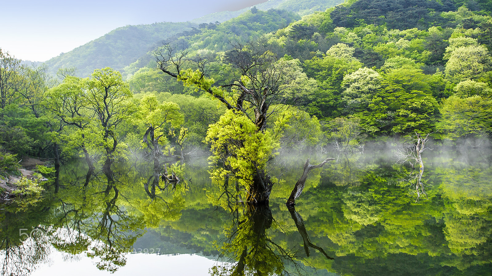 Canon EOS 30D sample photo. 봄의 주산지 photography