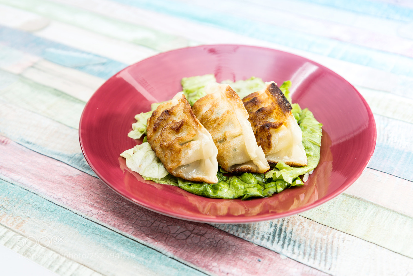 Nikon D800 sample photo. Chinese food fried dumplings photography