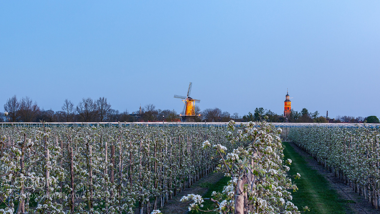 Canon EOS 5D Mark II sample photo. Buren in bloesemtijd anno photography