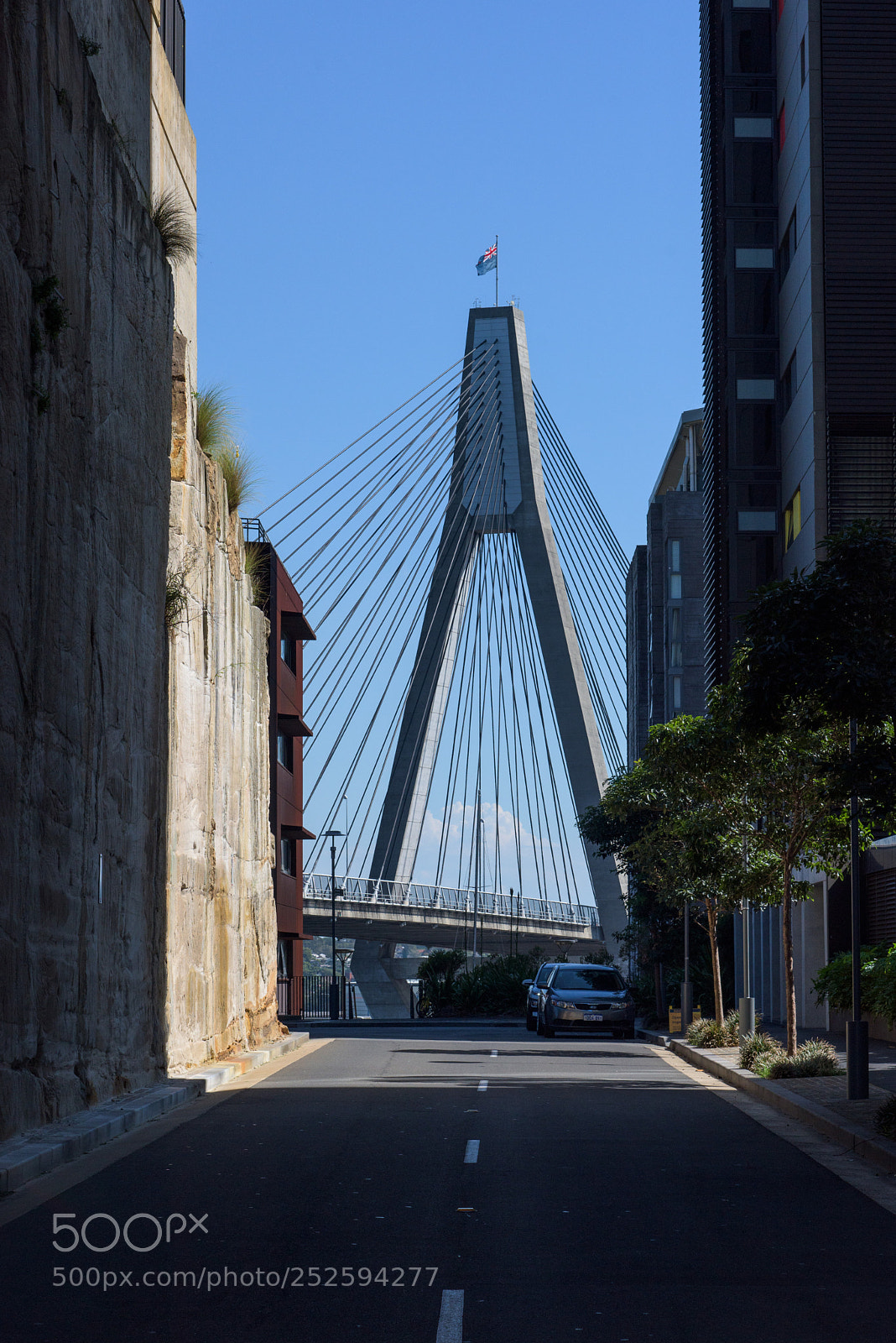 Nikon D810 sample photo. Anzac bridge photography