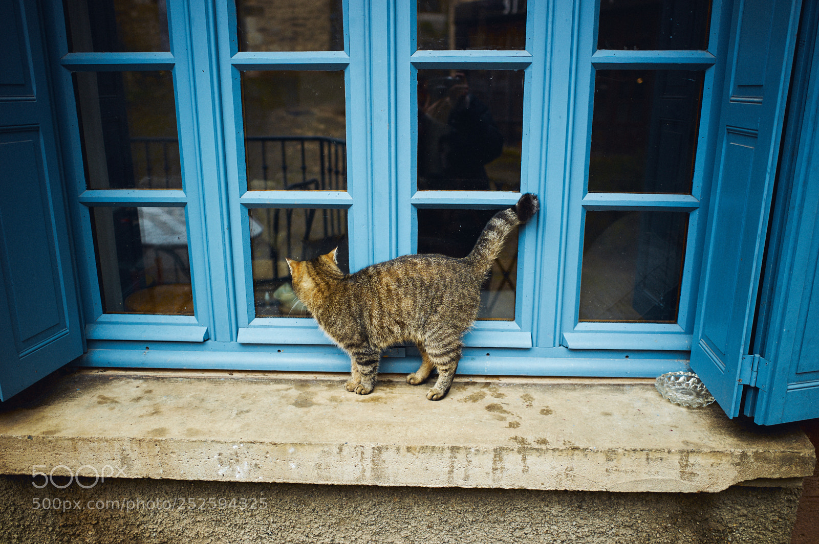 Leica M9 sample photo. Looking through a blue photography