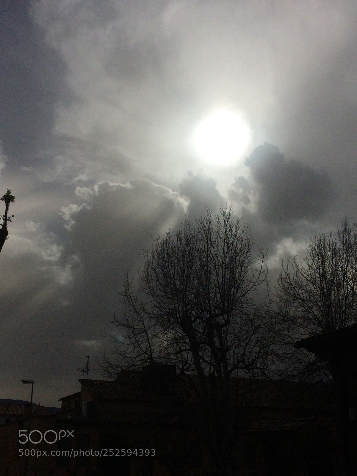 Apple iPhone 5s sample photo. Sun day photography