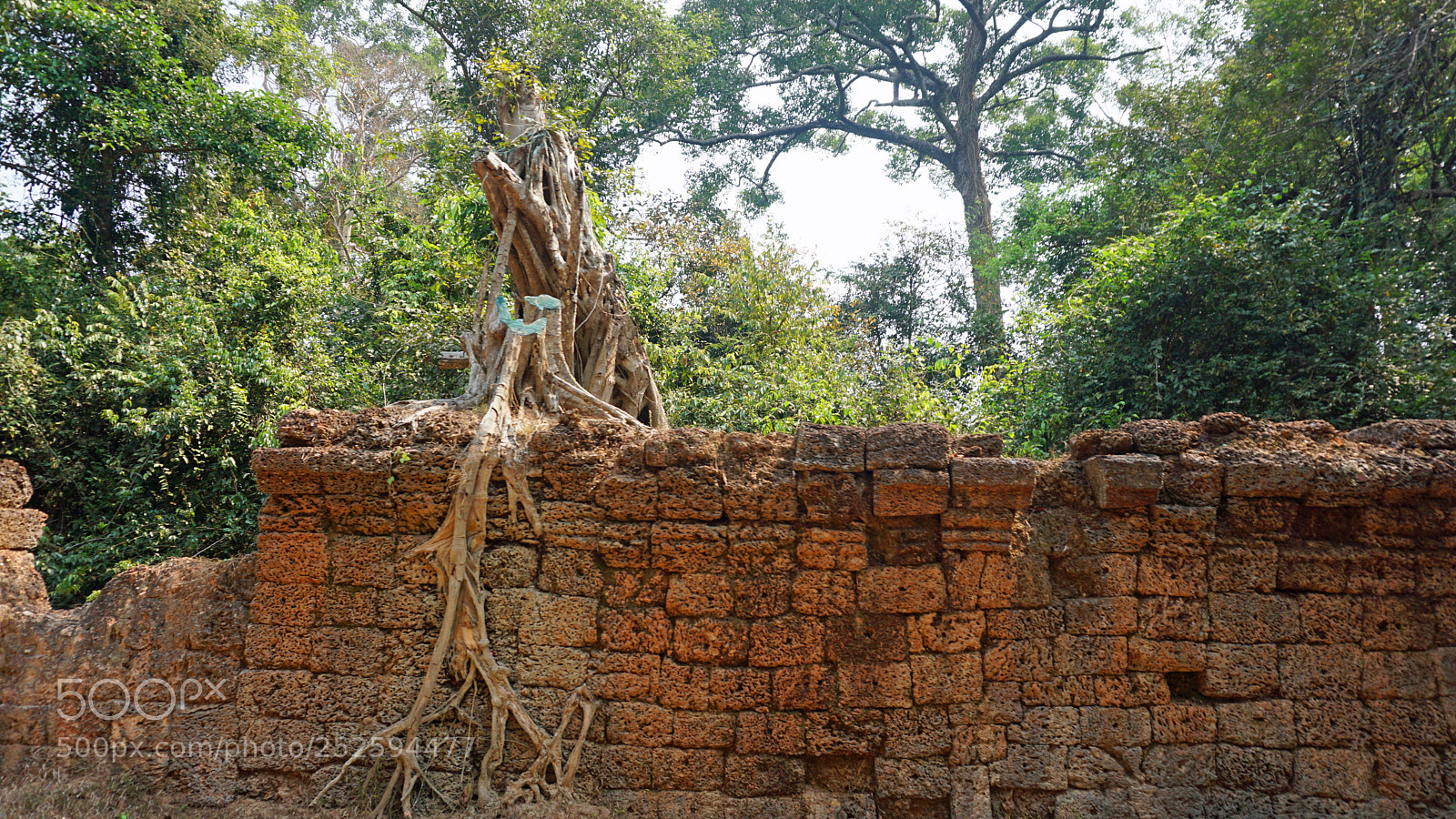 Sony a6000 sample photo. Ankor wat temple complex photography