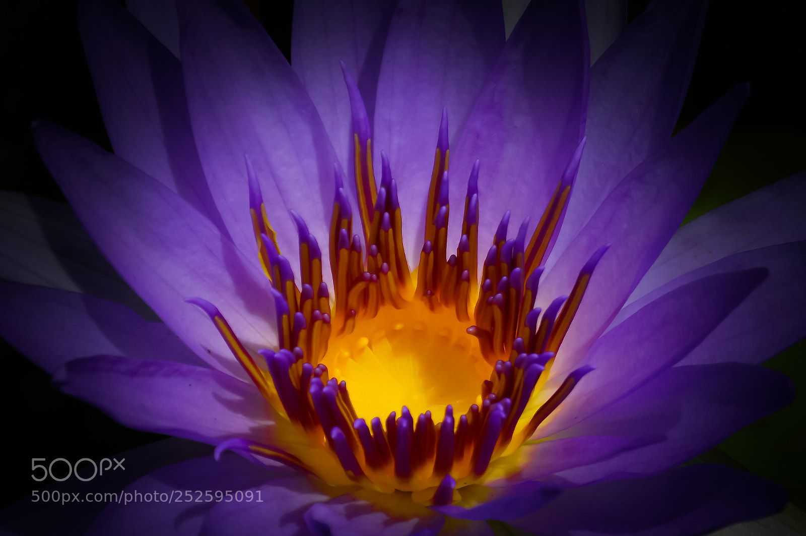 Sony a6000 sample photo. Glowing beauty photography