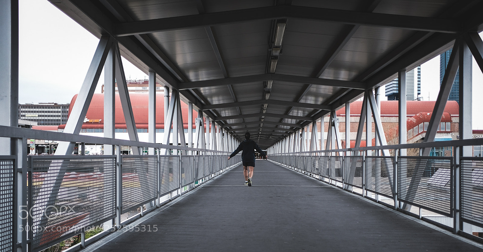 Fujifilm X-T20 sample photo. Freedom photography