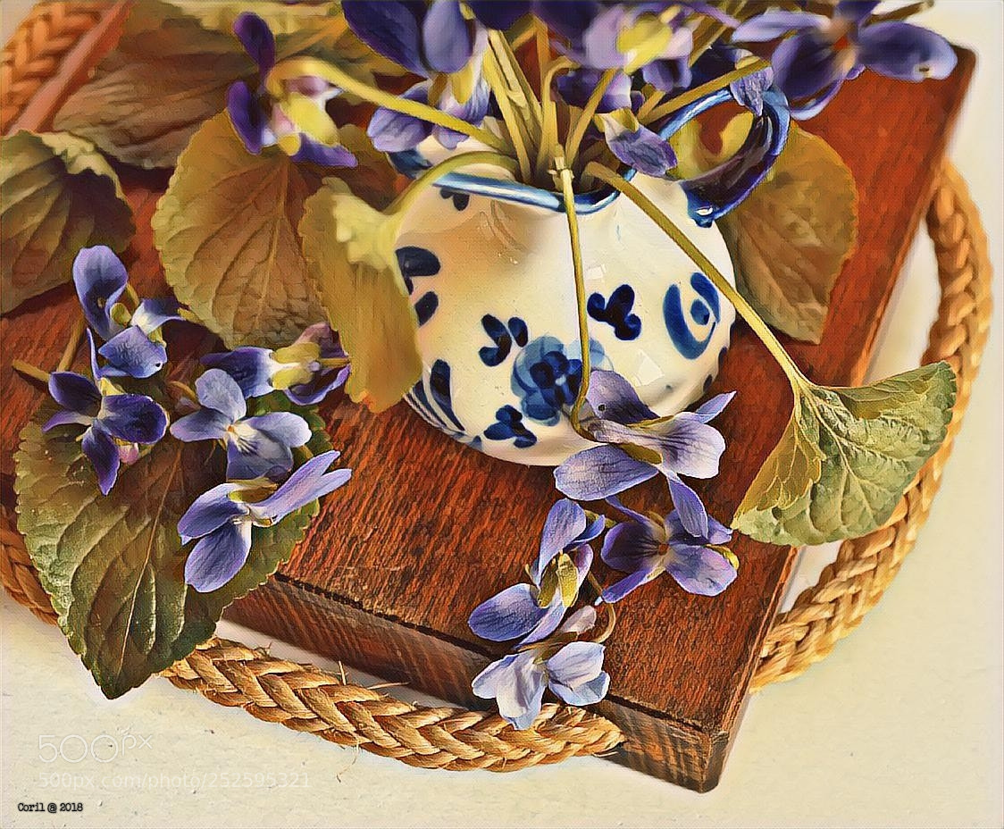 Nikon D3100 sample photo. Untitled photography
