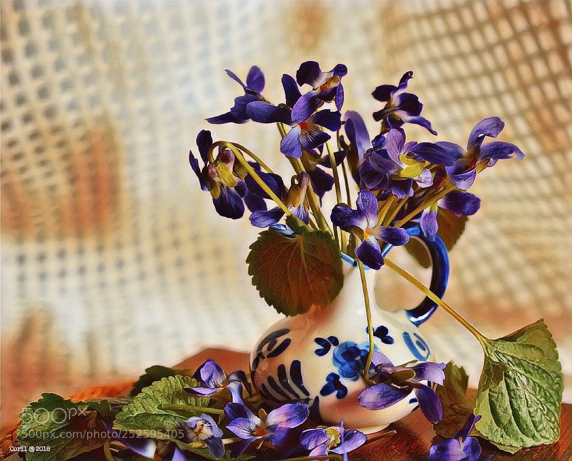 Nikon D3100 sample photo. Untitled photography