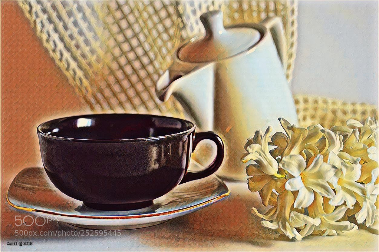 Nikon D3100 sample photo. Untitled photography