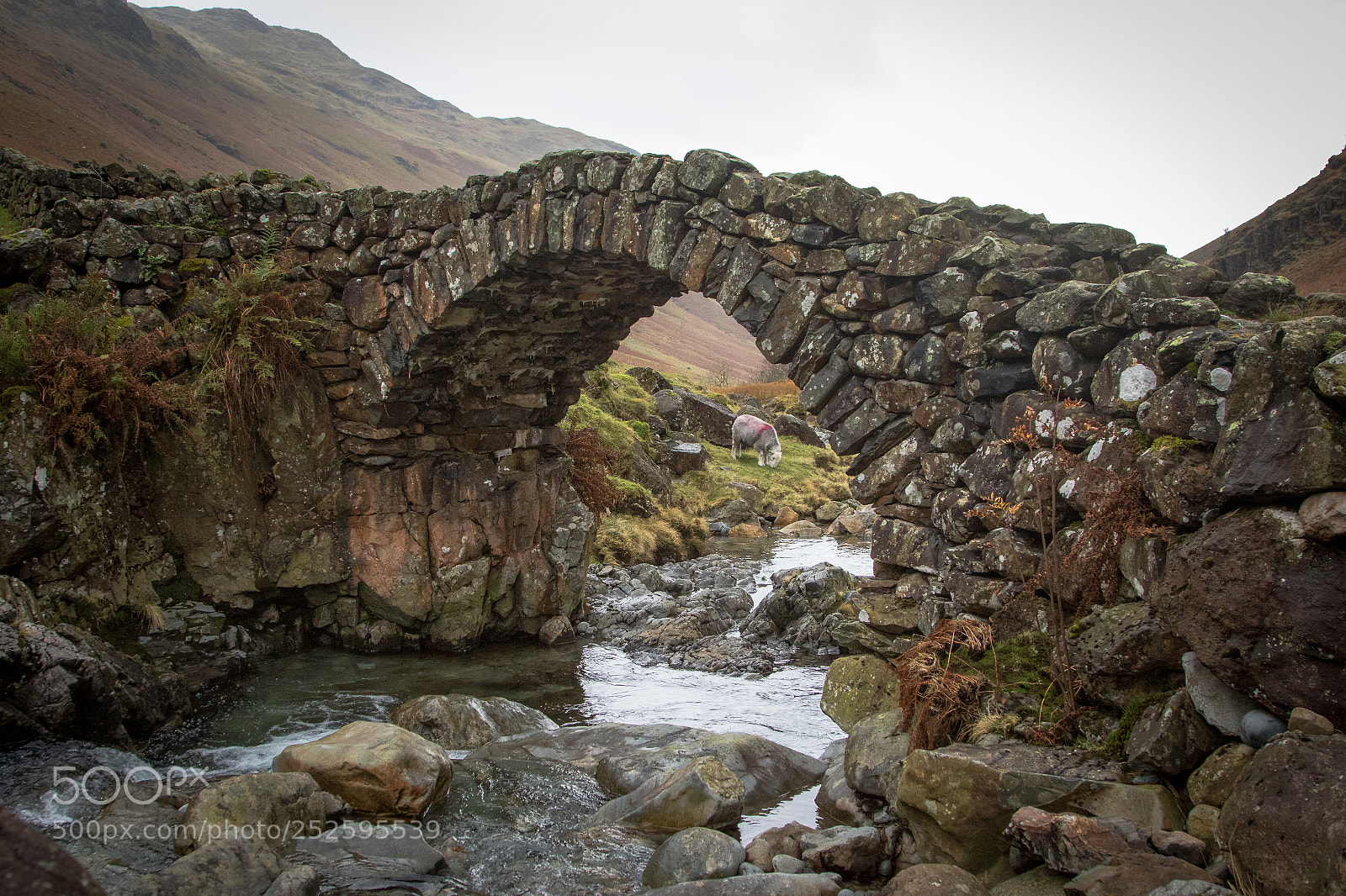 Canon EOS 7D Mark II sample photo. Lingcove bridge upper eskdale photography
