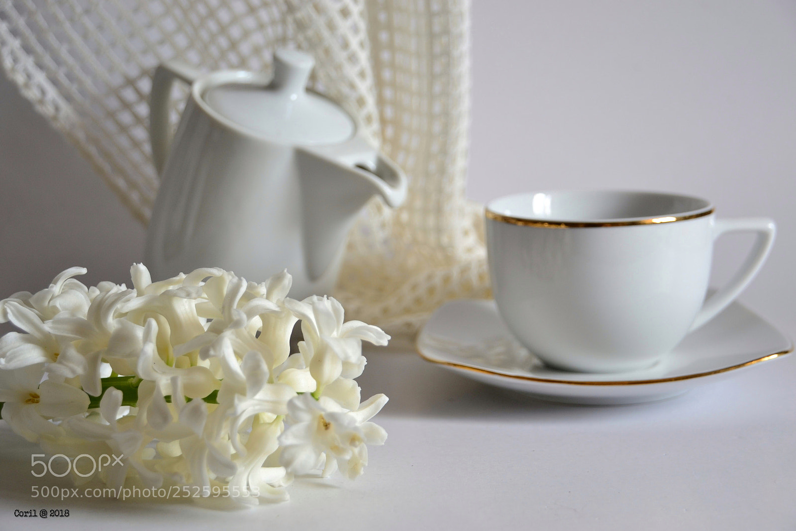 Nikon D3100 sample photo. Untitled photography