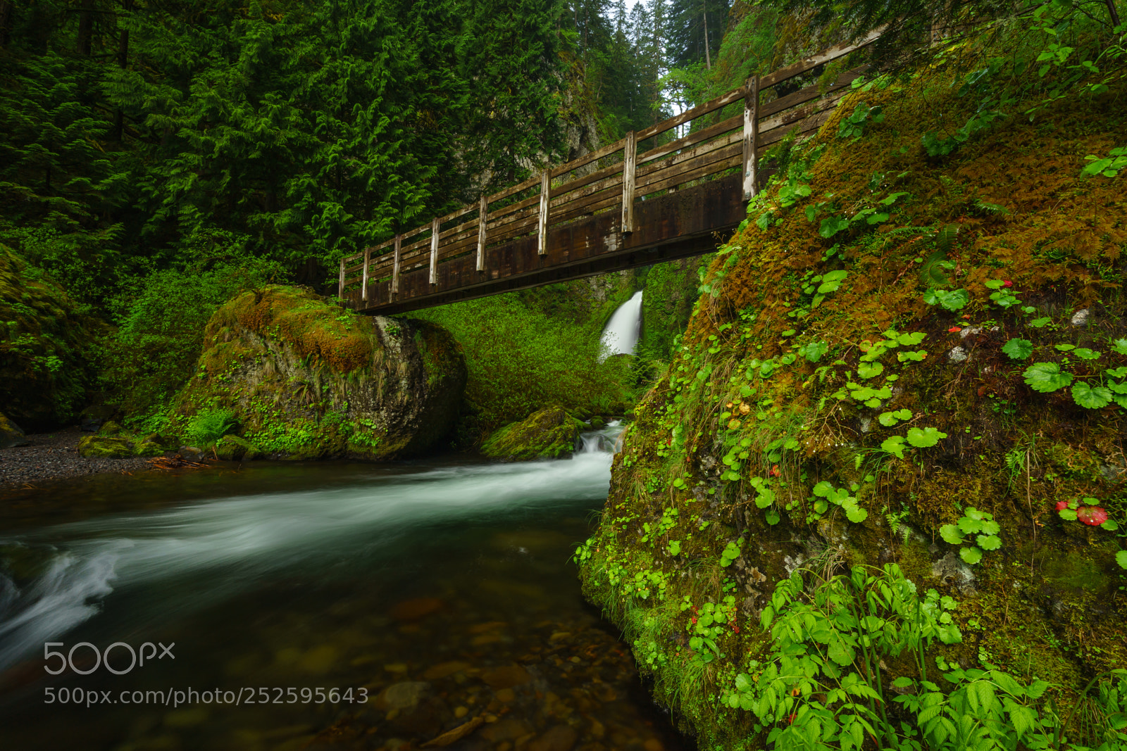 Sony a7 II sample photo. Columbia river gorge photography