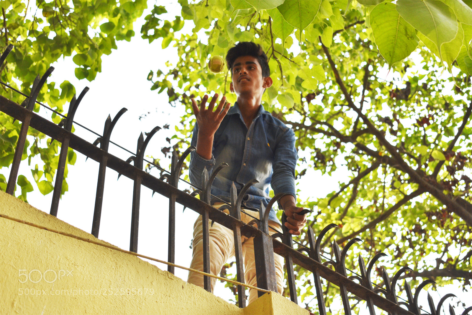 Nikon D3400 sample photo. Caught it photography