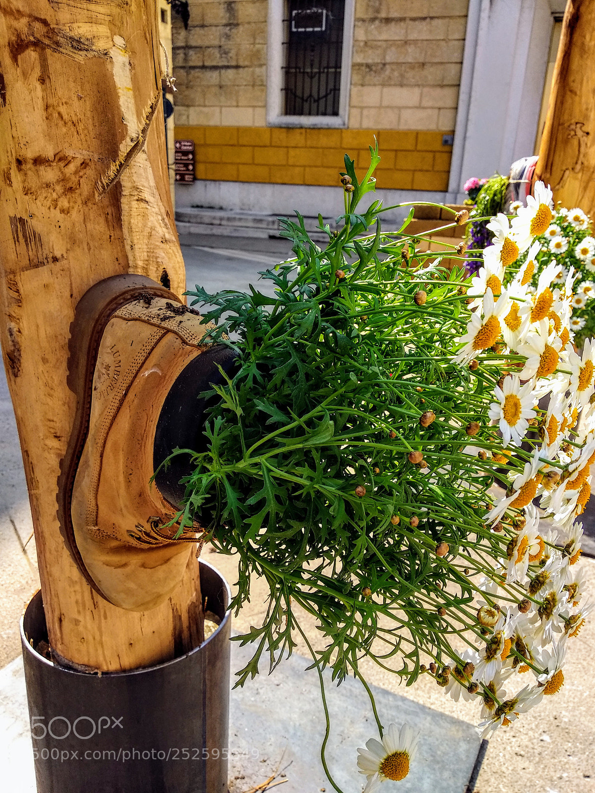 Xiaomi Mi A1 sample photo. Spring is everywhere... photography