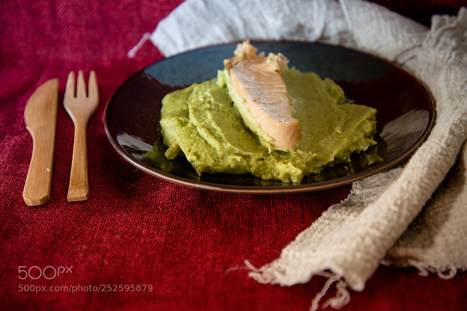 Nikon D800 sample photo. French cuisine salmon mashed photography