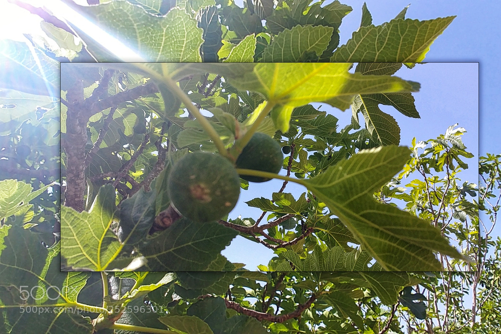 LG G6 sample photo. The revelation of the photography