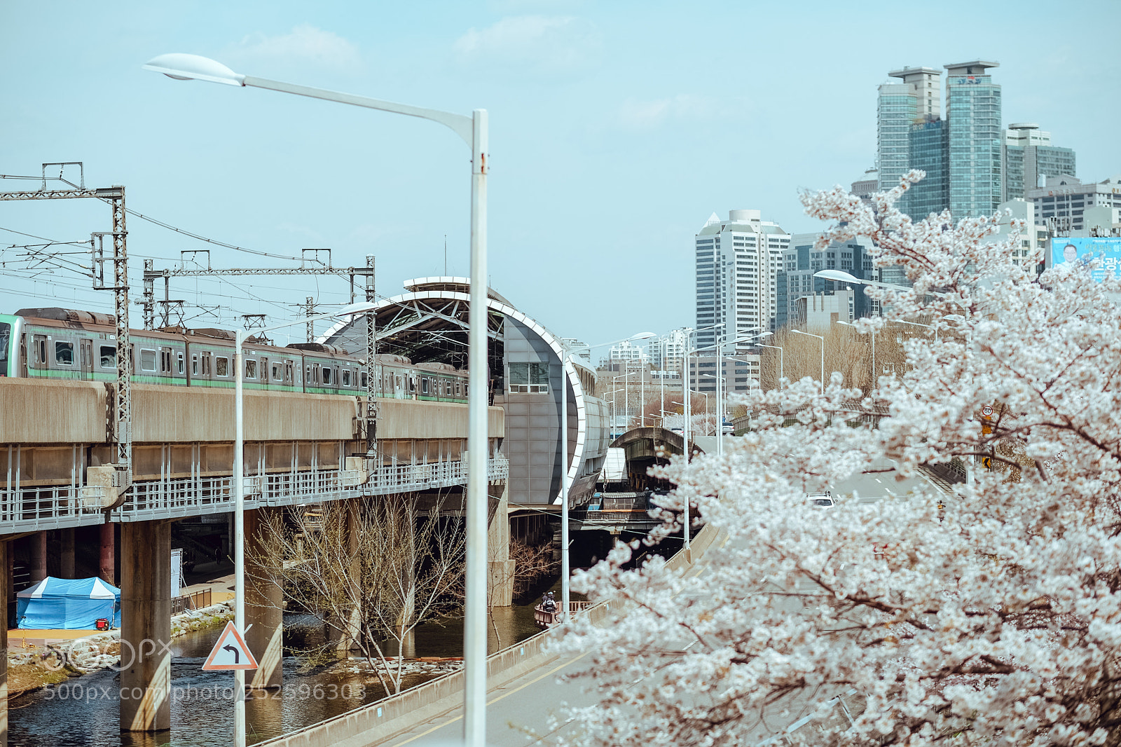 Fujifilm X-T1 sample photo. Cherry blossom photography