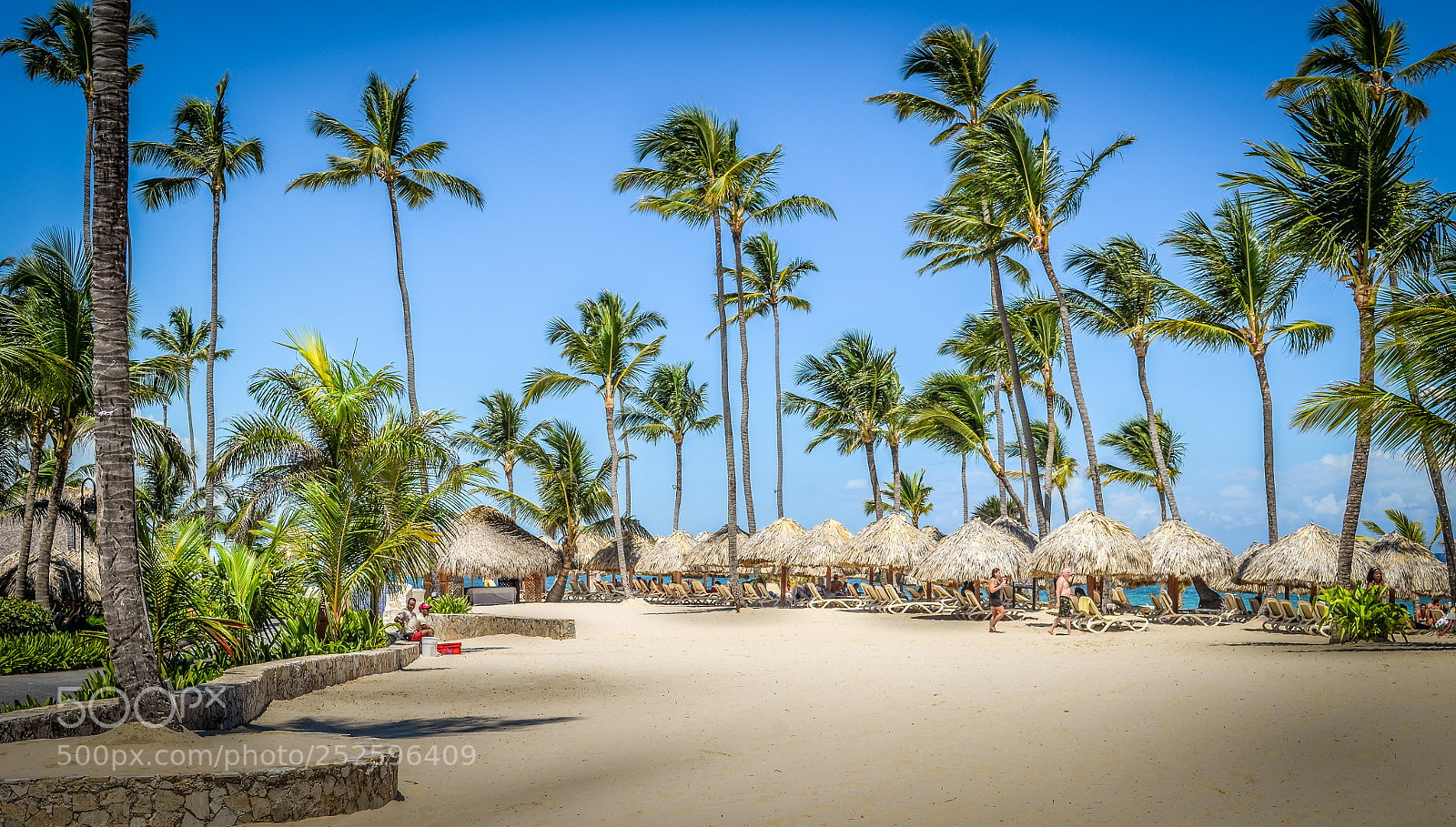 Nikon D5100 sample photo. Beach life photography