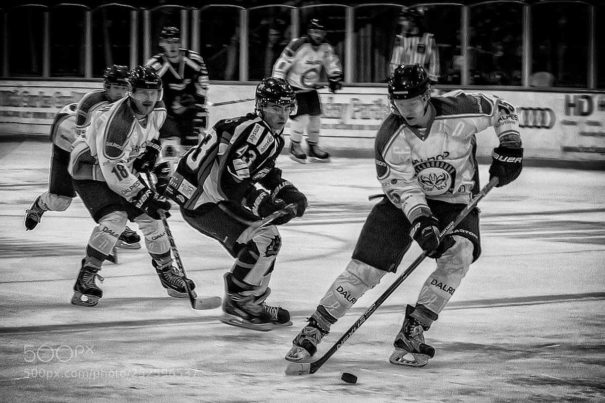 Canon EOS 5D Mark IV sample photo. What the puck! photography