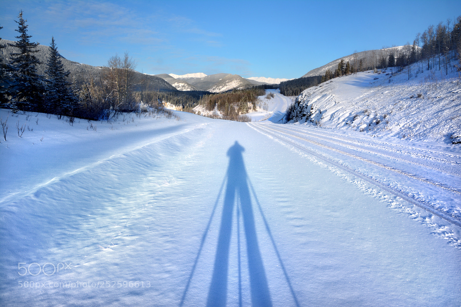 Nikon D7100 sample photo. The winter that just photography