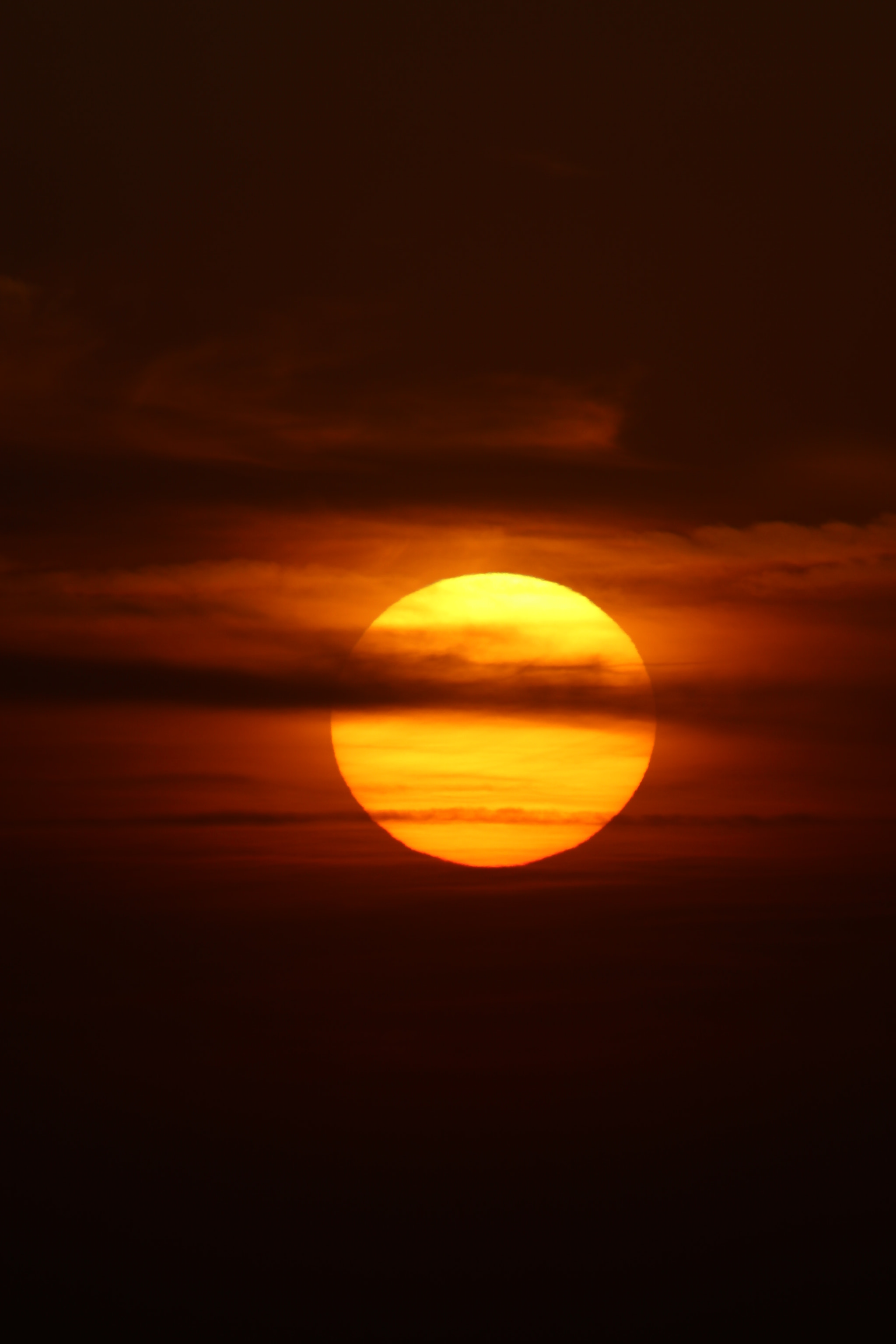 Tamron SP 150-600mm F5-6.3 Di VC USD sample photo. 夕阳余晖sunset photography