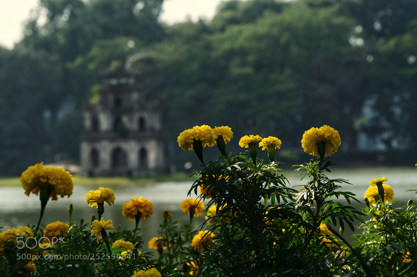Nikon D7100 sample photo. Untitled photography