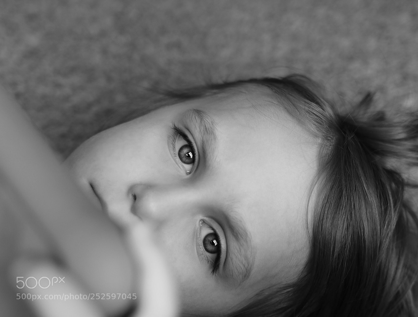 Canon EOS 760D (EOS Rebel T6s / EOS 8000D) sample photo. Untitled photography