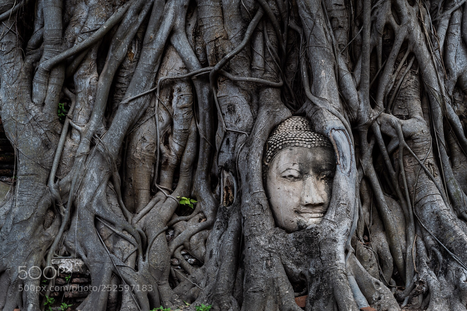 Leica SL (Typ 601) sample photo. Siam photography