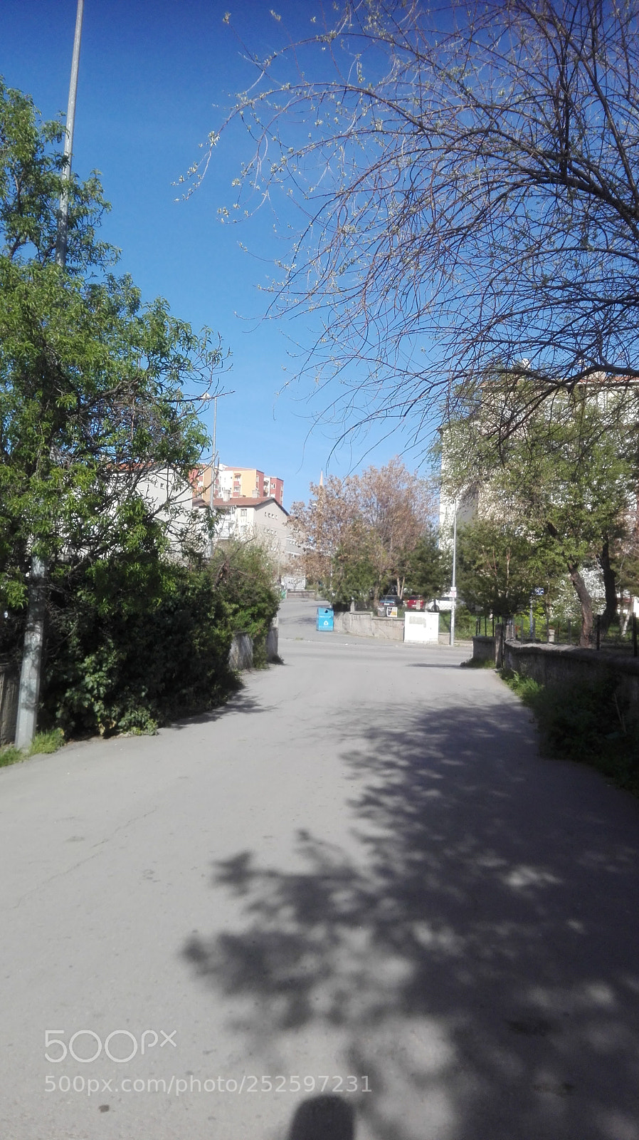 HUAWEI P8 Lite sample photo. Spring cheer in a photography