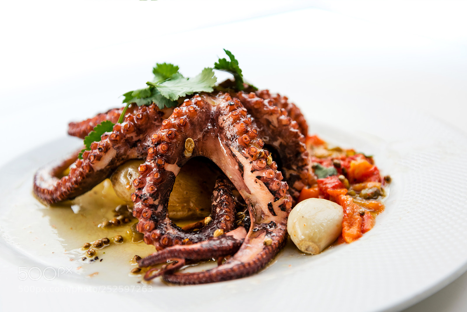 Nikon D800 sample photo. Mediterranean octopus with vegetables photography