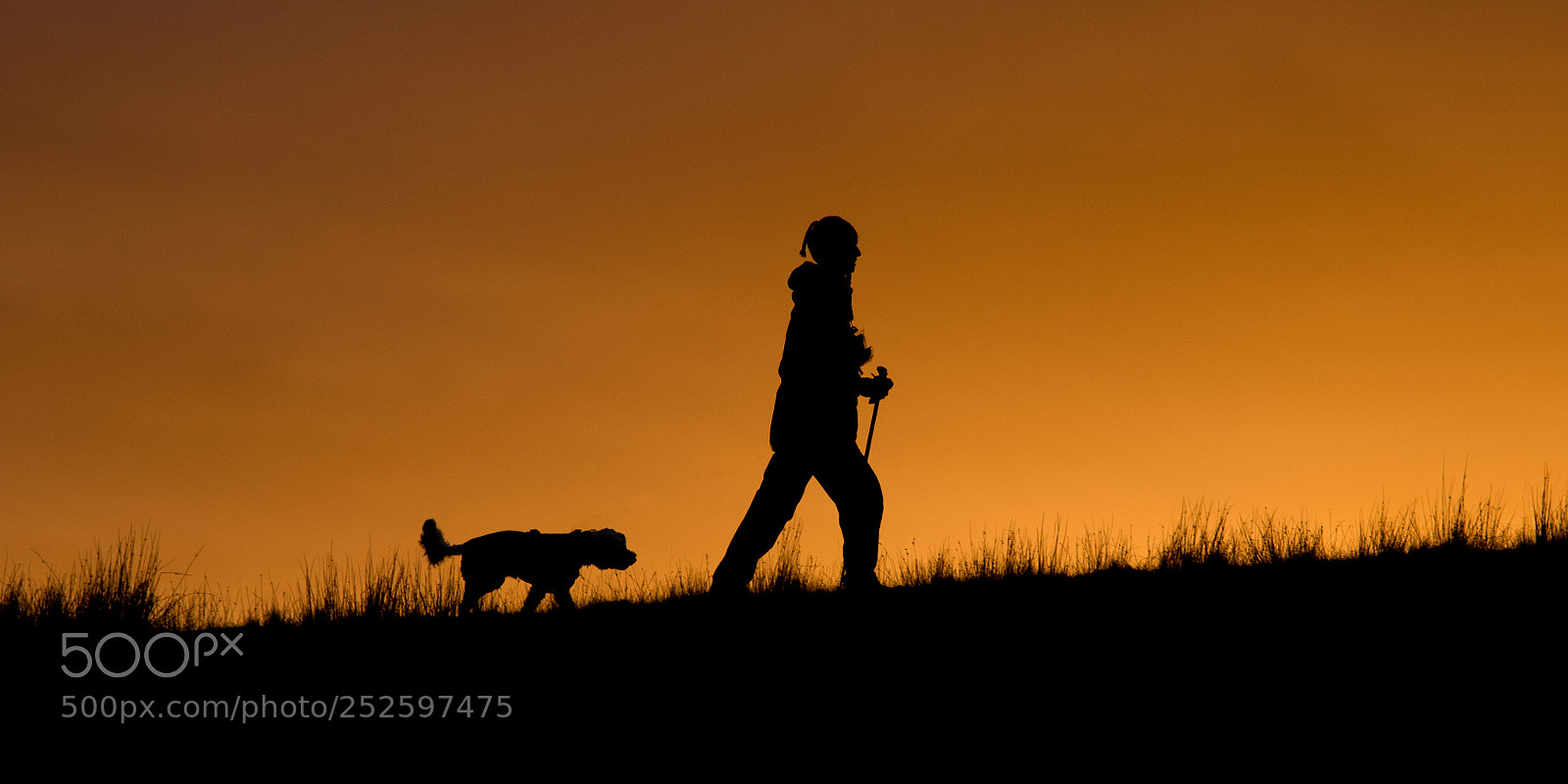 Canon EOS 7D Mark II sample photo. Sunset silhouette photography