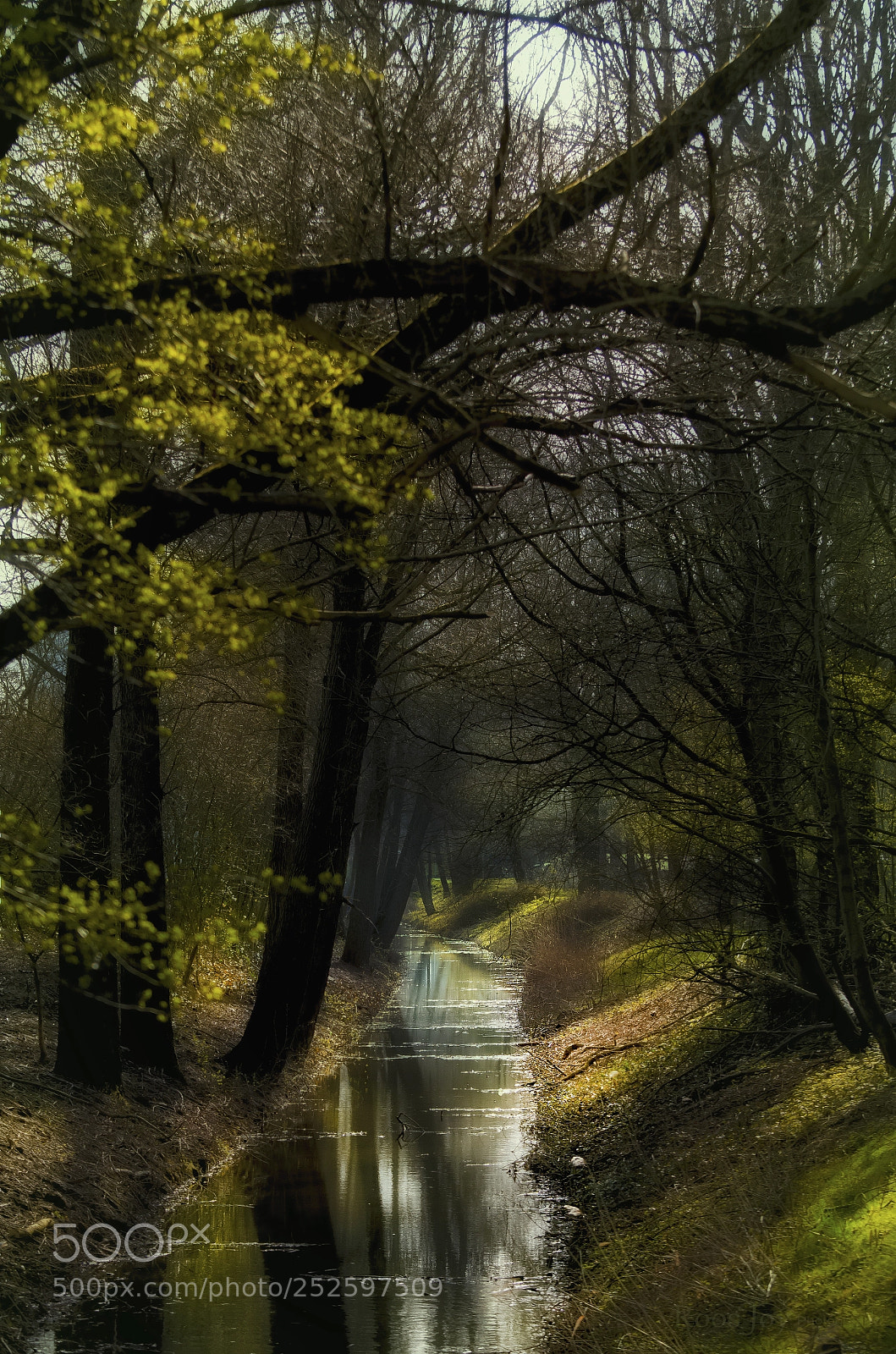 Nikon D5100 sample photo. There comes the green photography