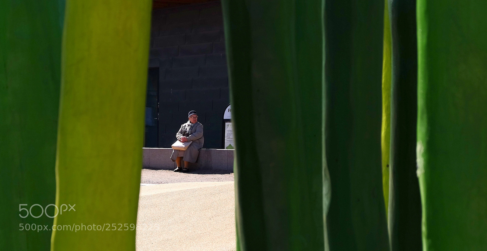 Fujifilm X-M1 sample photo. Wait photography