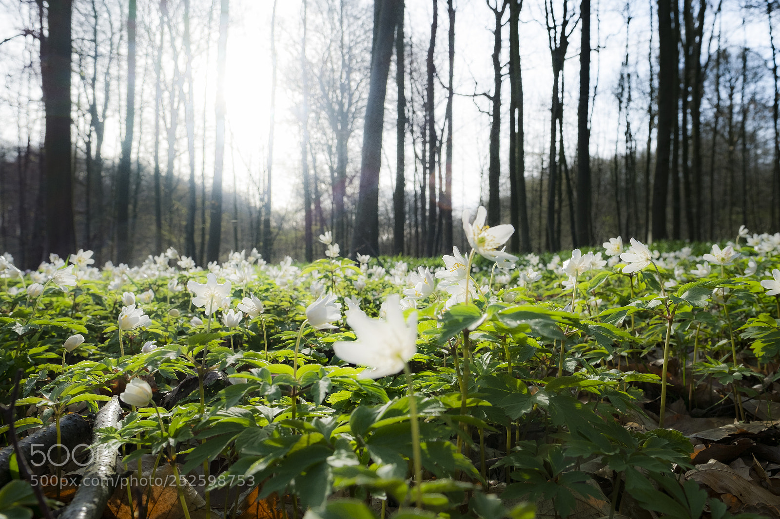 Fujifilm X-Pro1 sample photo. Starting the day with photography