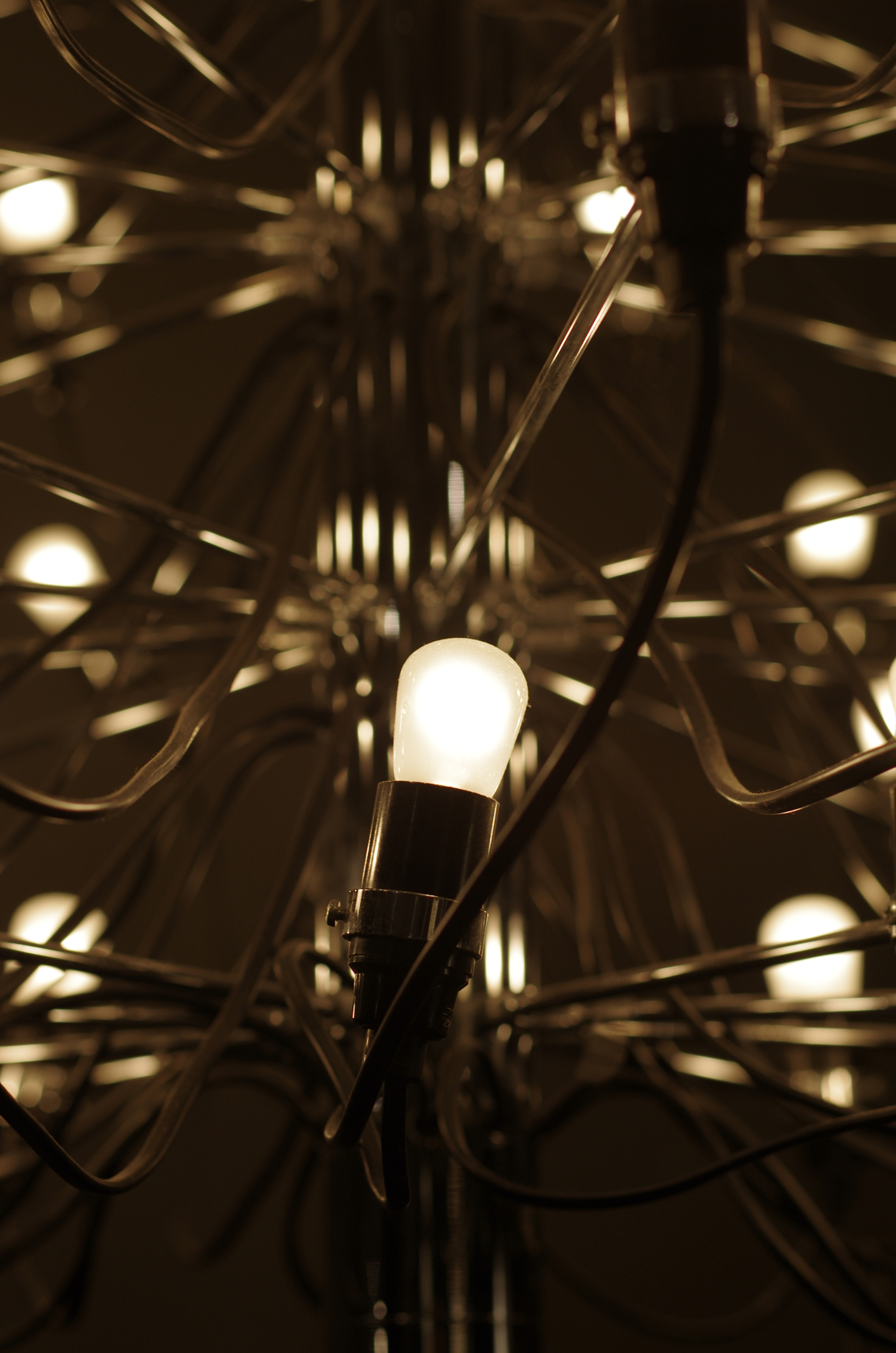 Pentax K-5 II sample photo. Light bulb moment photography