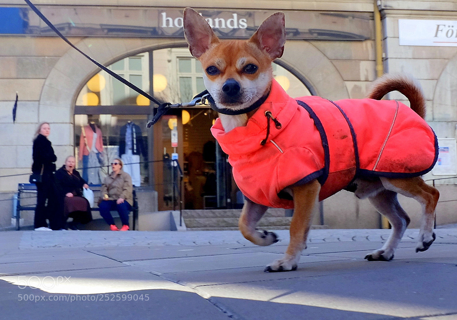 Fujifilm X-M1 sample photo. Do not imagine me photography