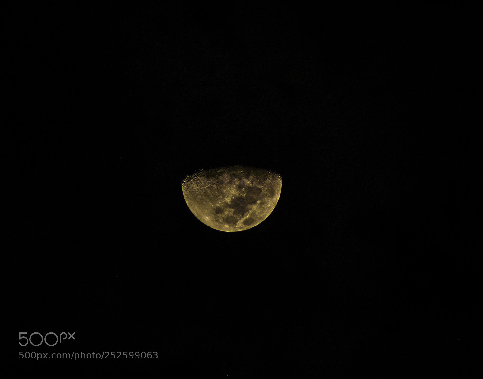 Nikon D5100 sample photo. Luna photography
