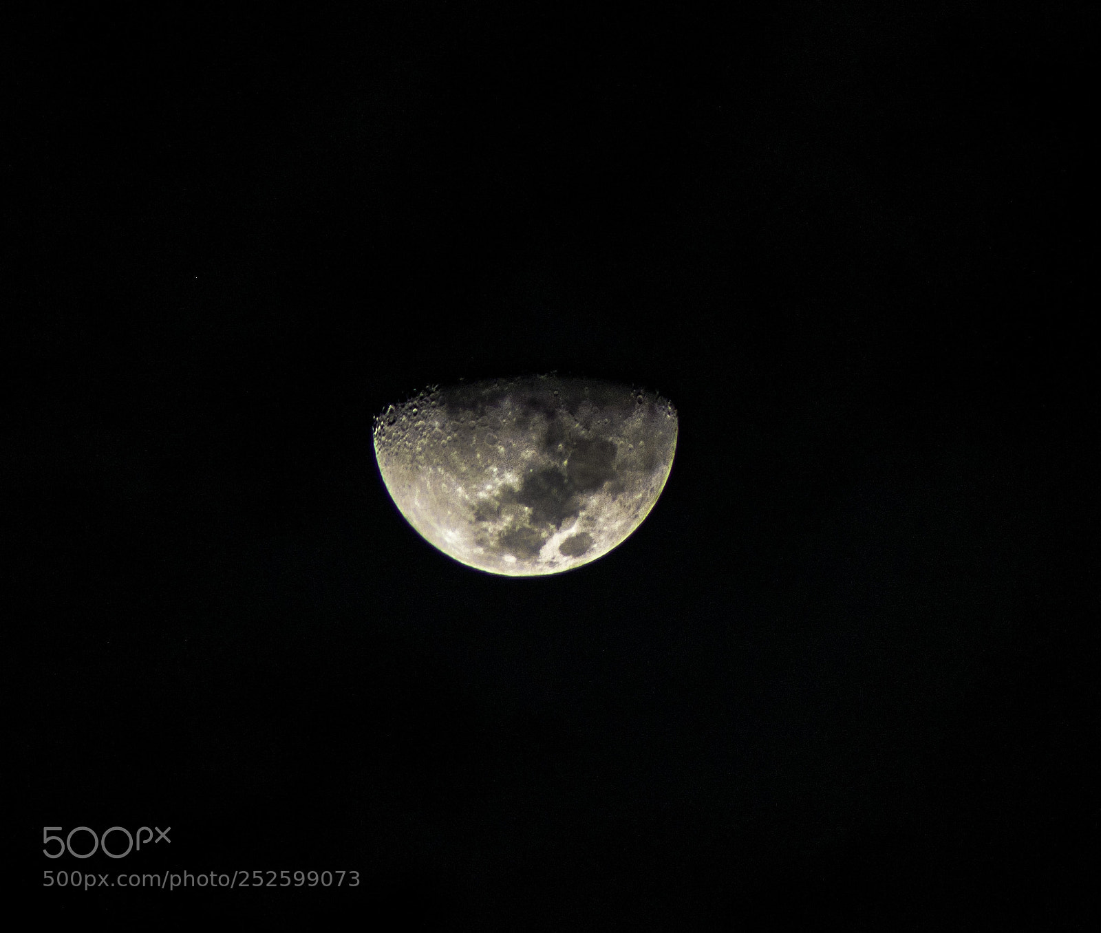 Nikon D5100 sample photo. Luna photography