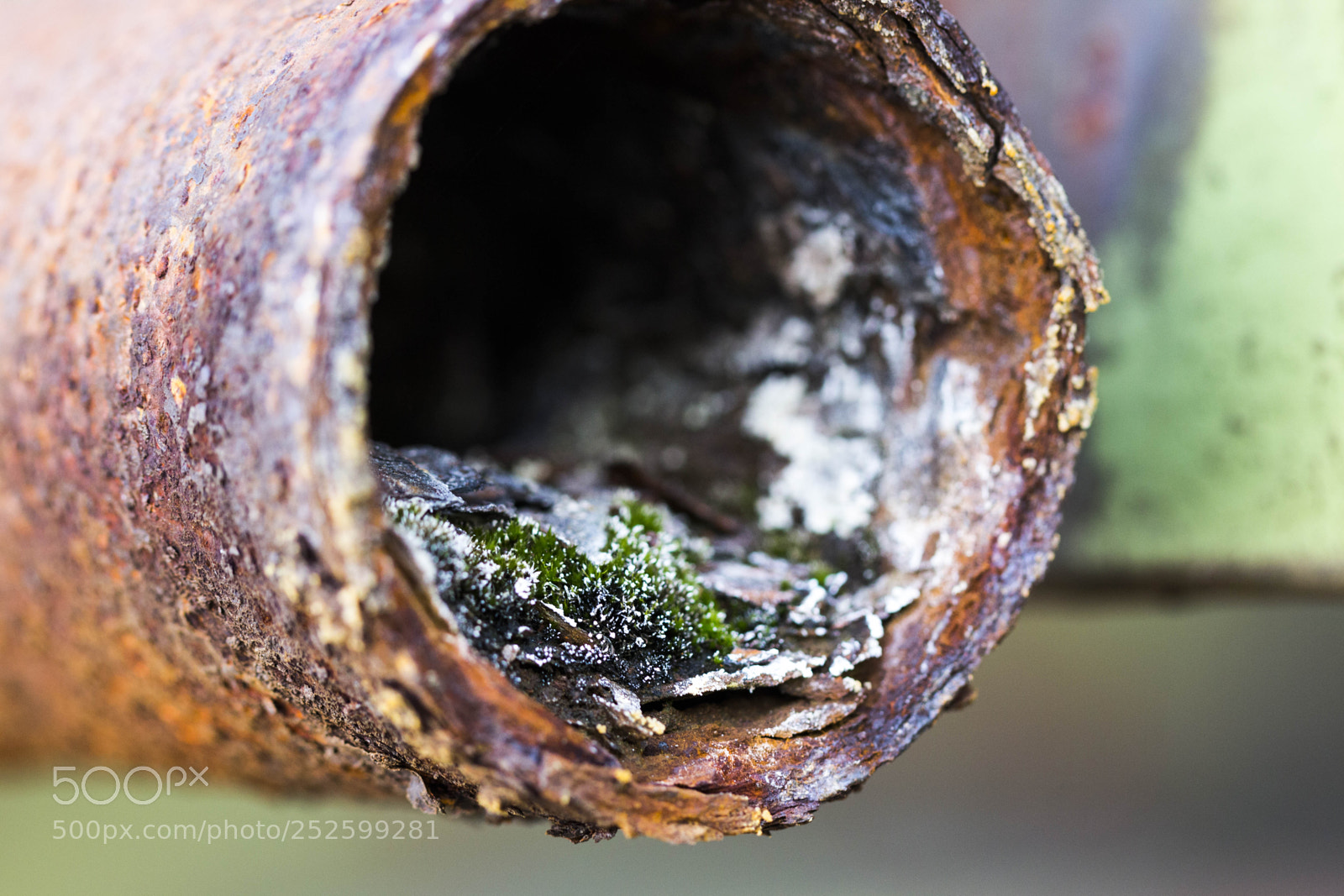 Canon EOS 700D (EOS Rebel T5i / EOS Kiss X7i) sample photo. Rusty pipe photography