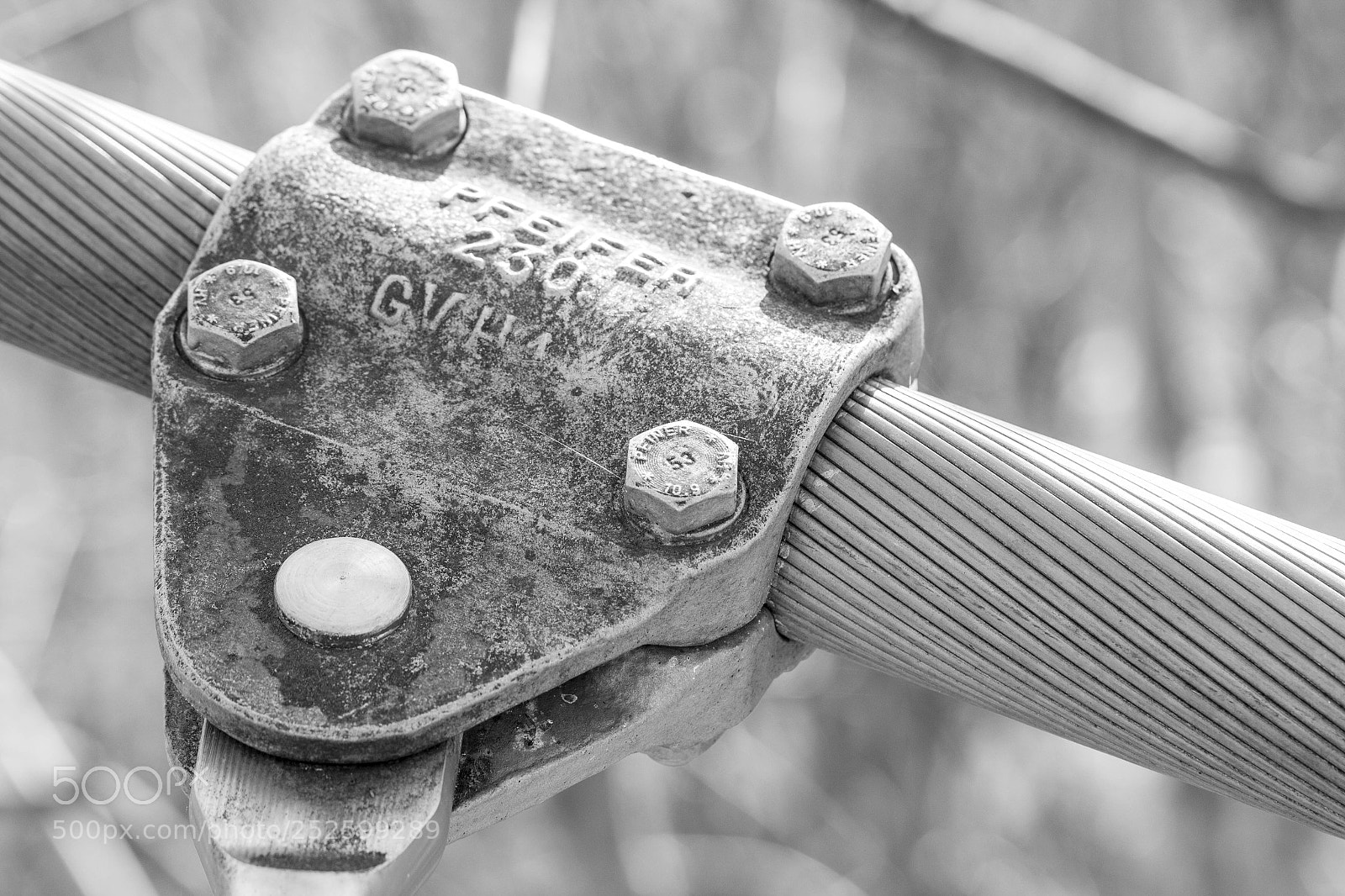 Canon EOS 700D (EOS Rebel T5i / EOS Kiss X7i) sample photo. Bridge made of steel photography