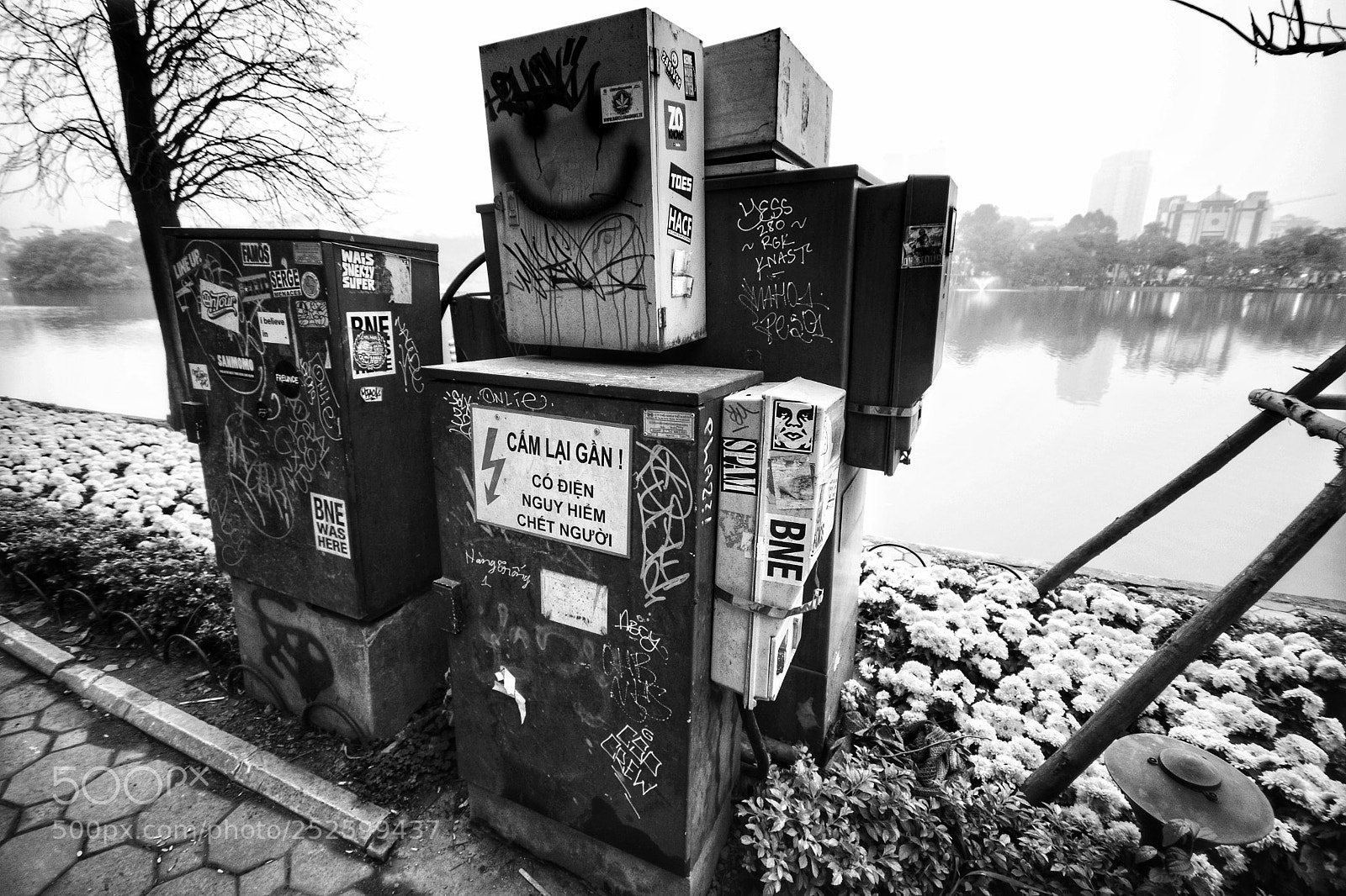 Nikon D7100 sample photo. Untitled photography