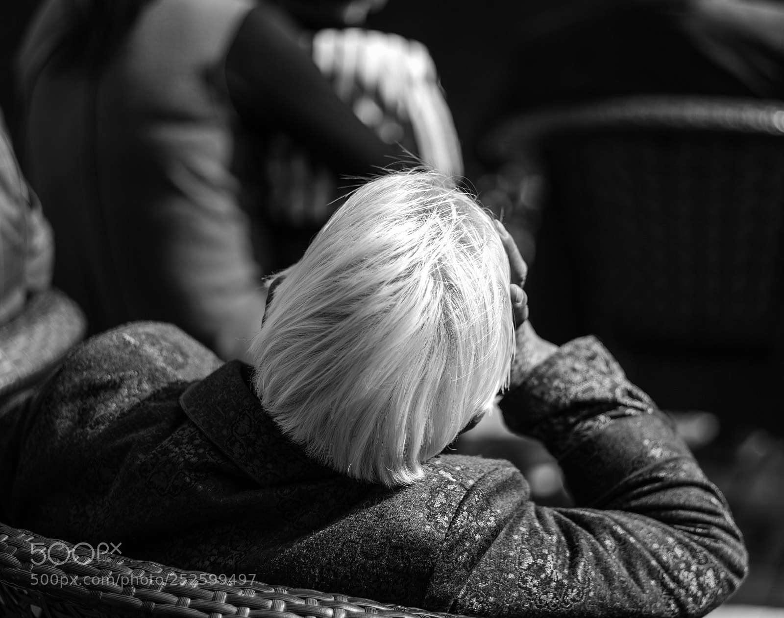 Pentax K-1 sample photo. Untitled photography