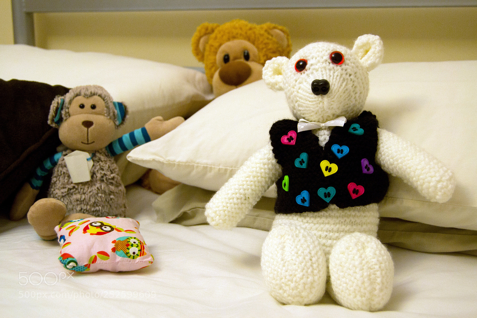 Nikon D3100 sample photo. Bears photography