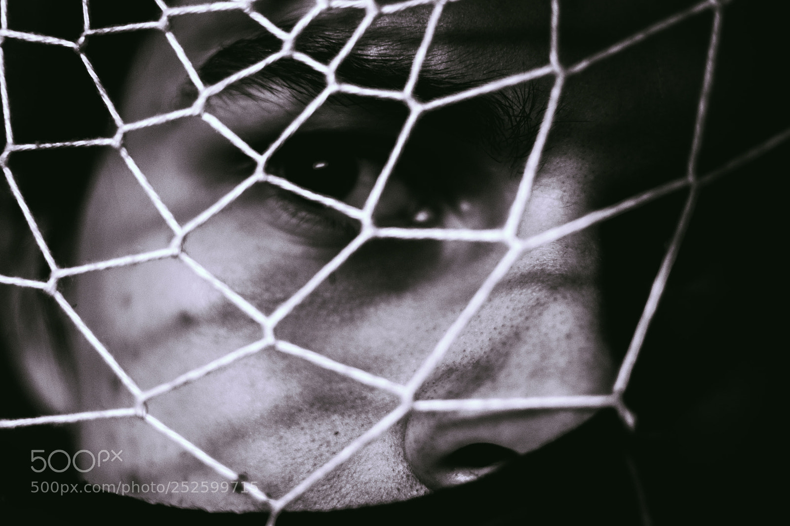Nikon D3300 sample photo. Caught in a web photography