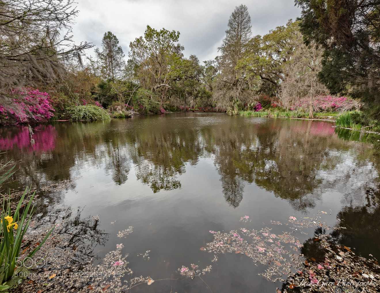 Canon EOS 5DS sample photo. Reflective pool photography