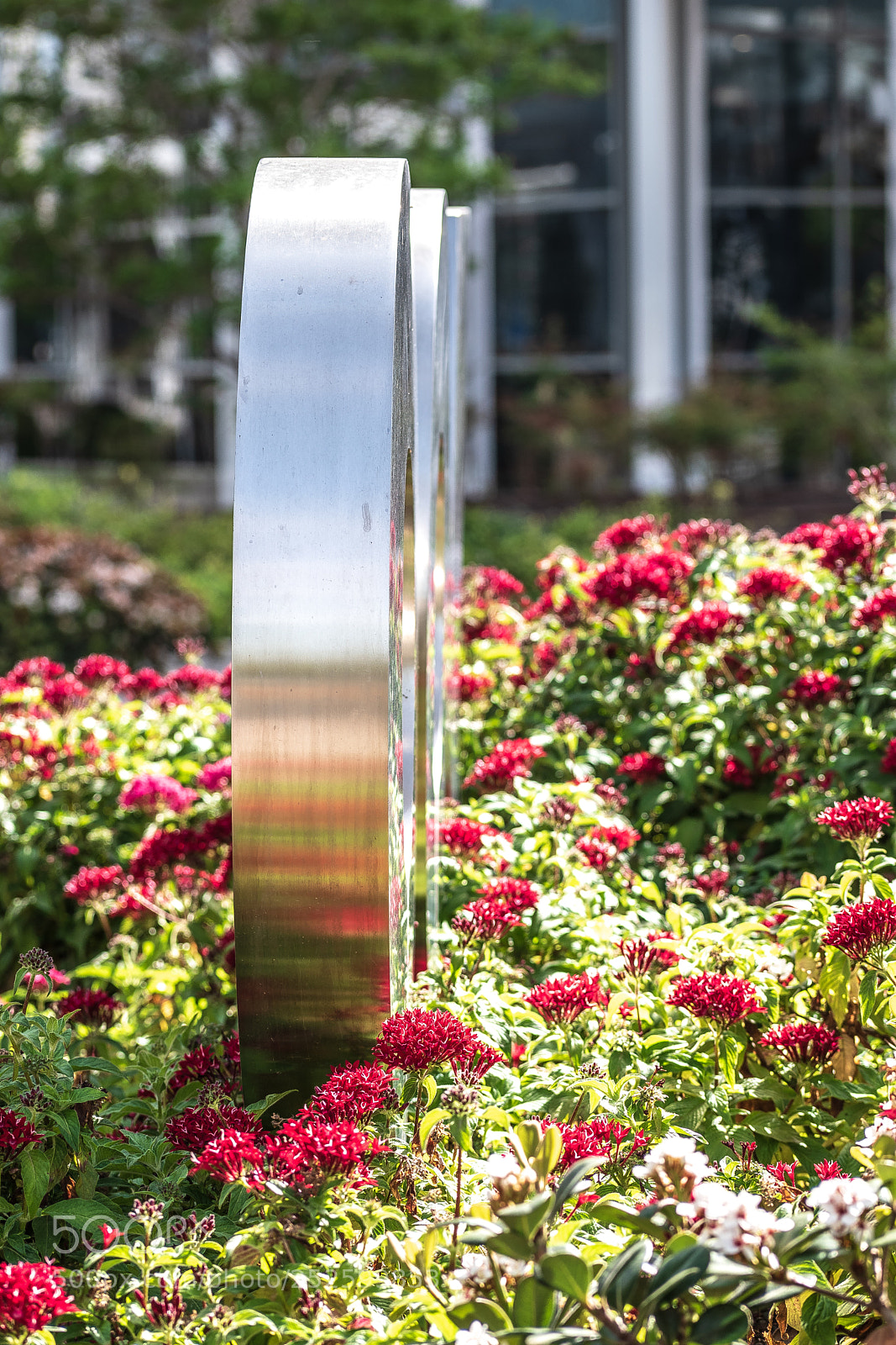 Nikon D5600 sample photo. Reflection photography