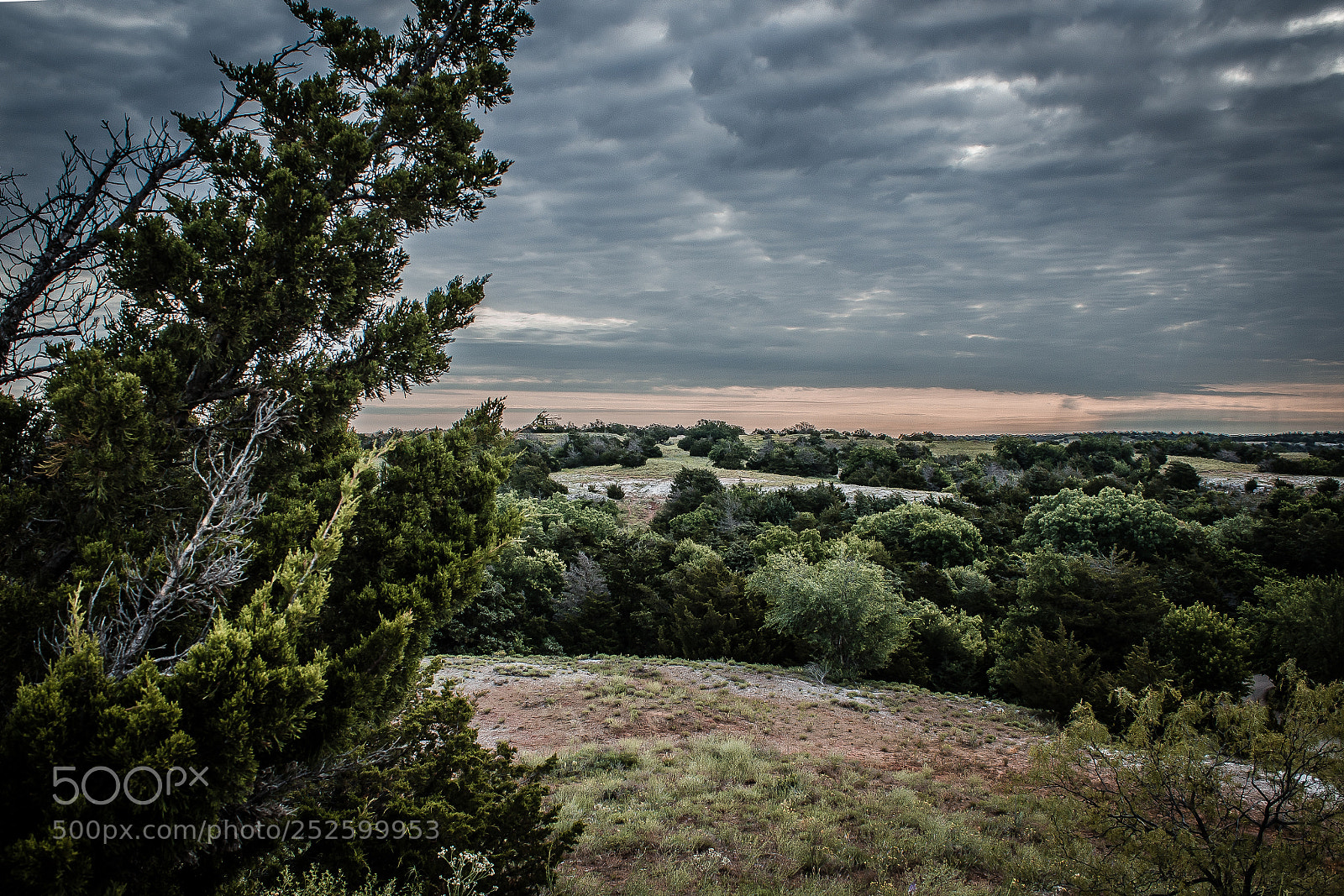 Canon EOS 600D (Rebel EOS T3i / EOS Kiss X5) sample photo. Hdr forest photography