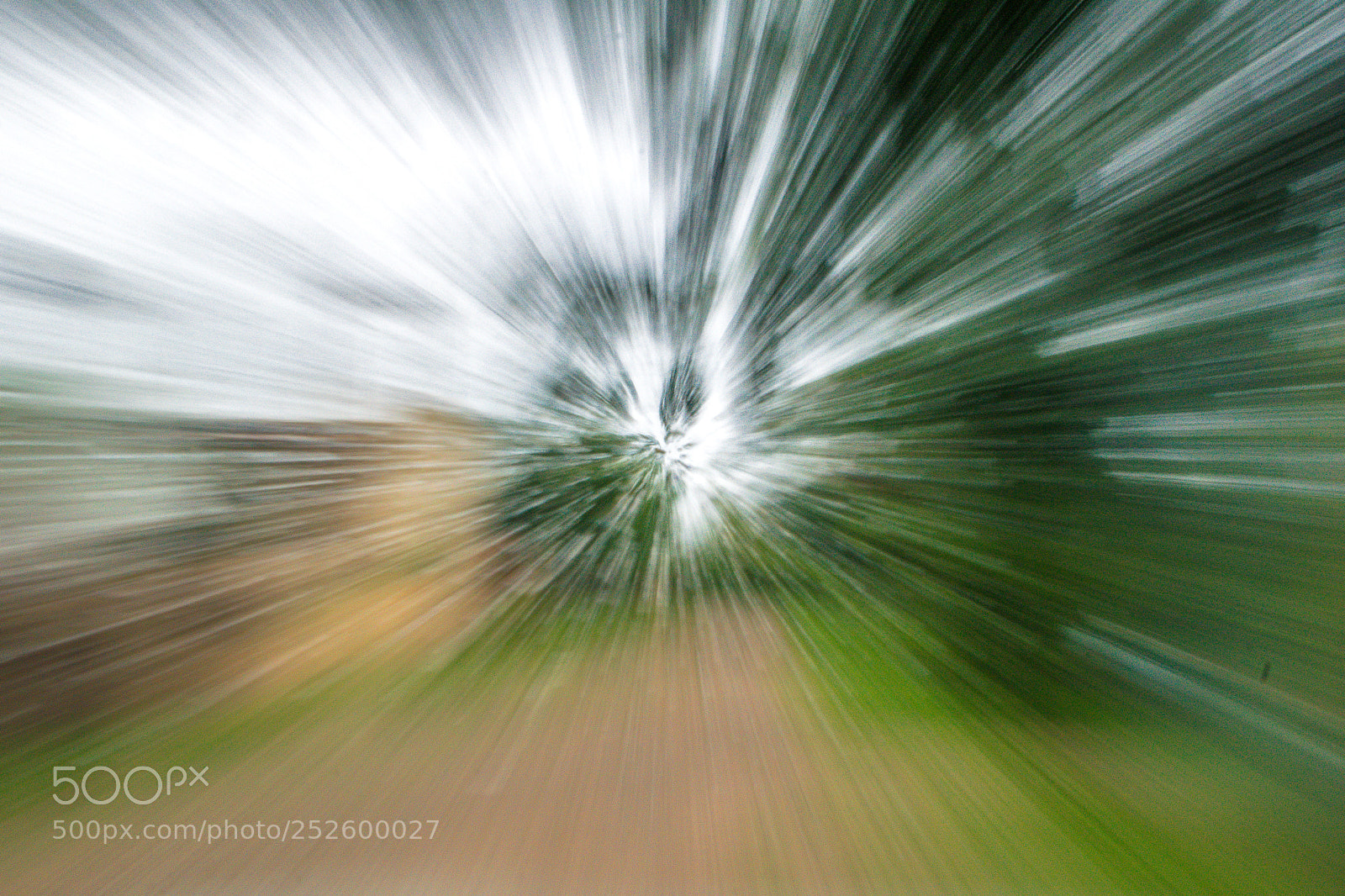 Nikon D5300 sample photo. Gotas de lluvia sobre photography