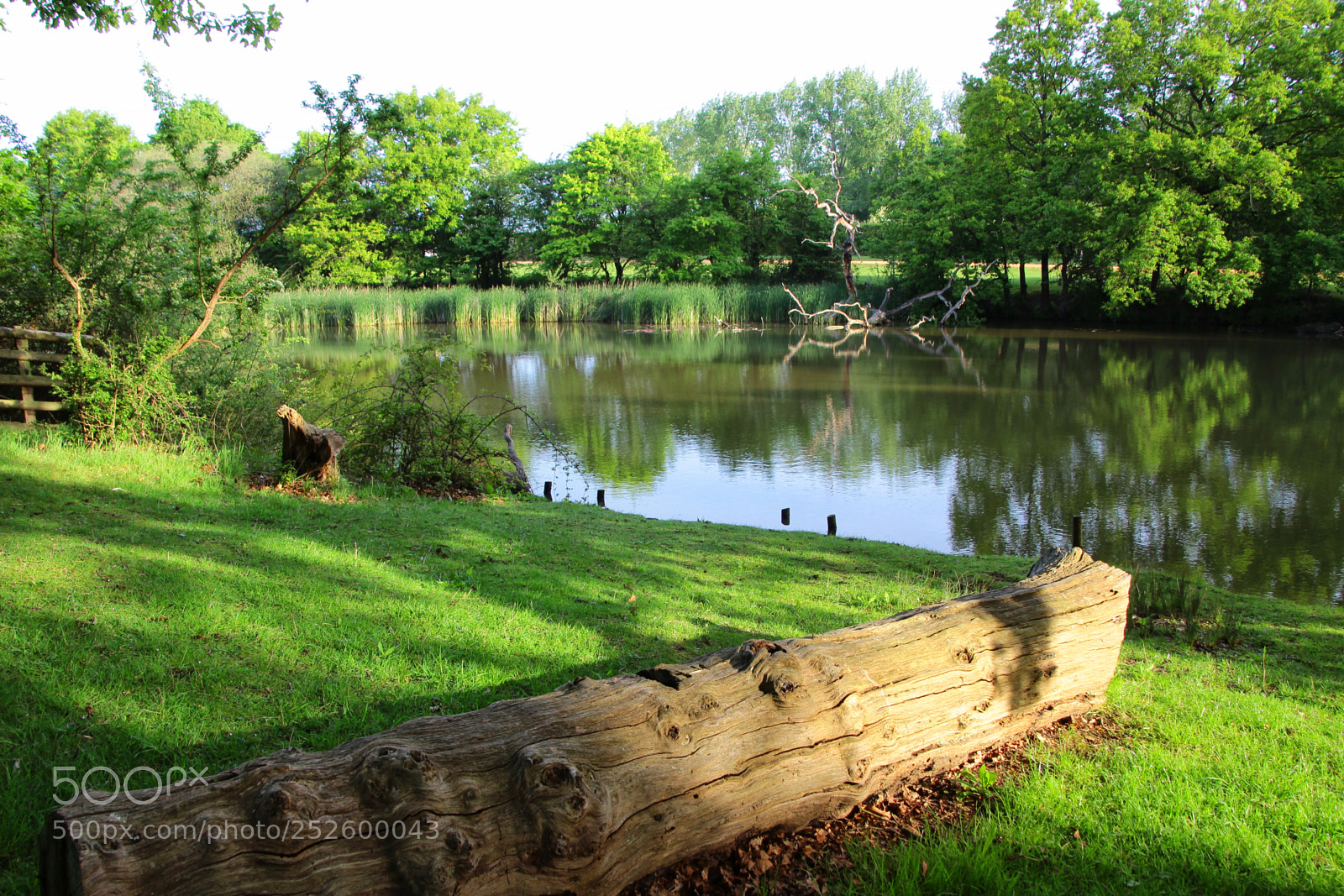 Canon EOS 600D (Rebel EOS T3i / EOS Kiss X5) sample photo. Lakeside scene at windsor photography