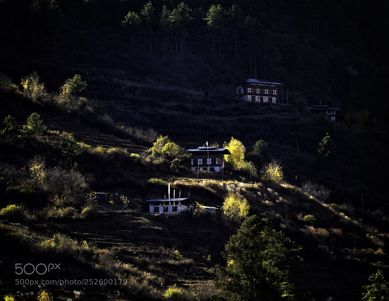 Nikon D810 sample photo. Bhutan light photography