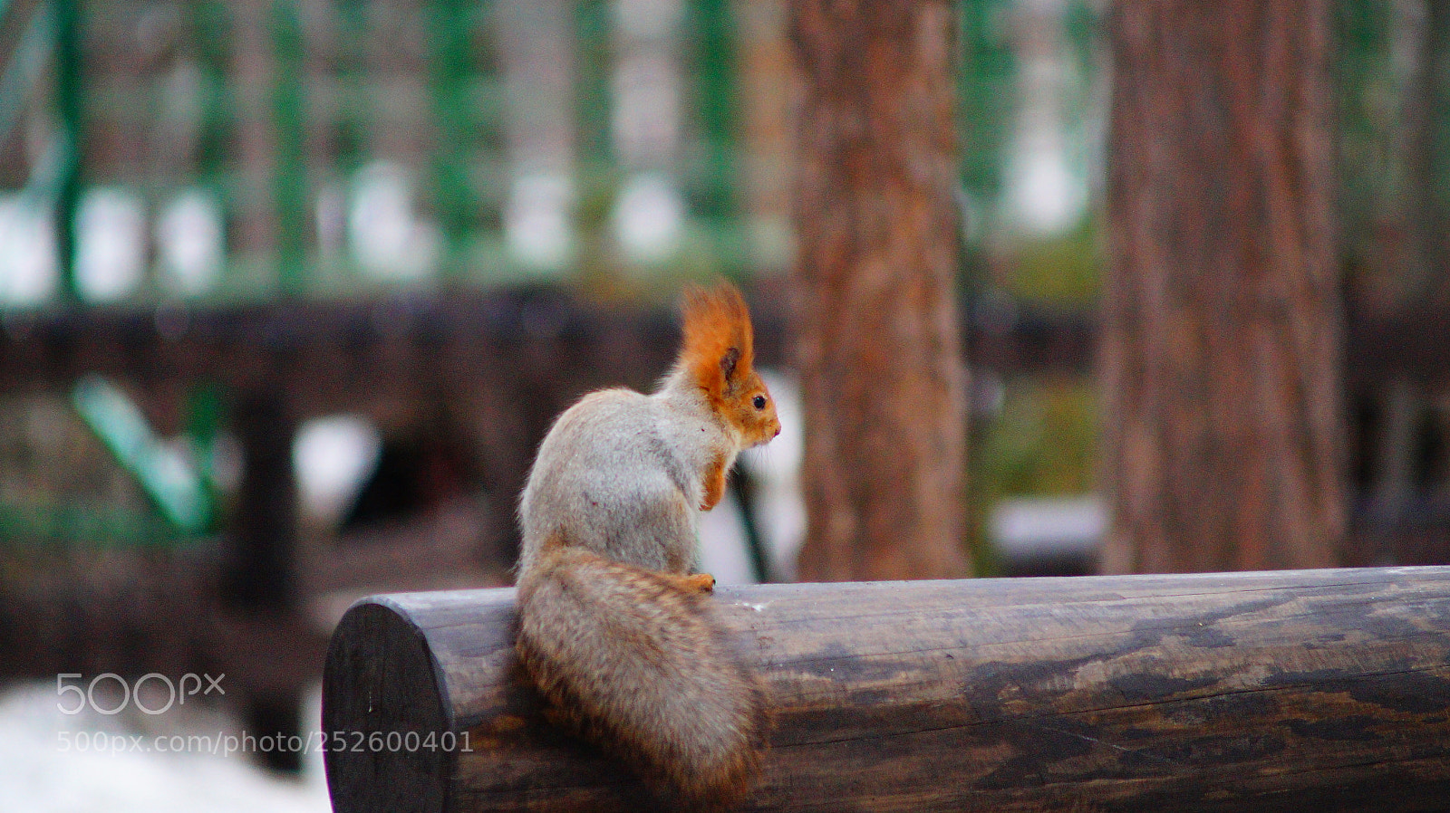 Sony SLT-A58 sample photo. Model photography